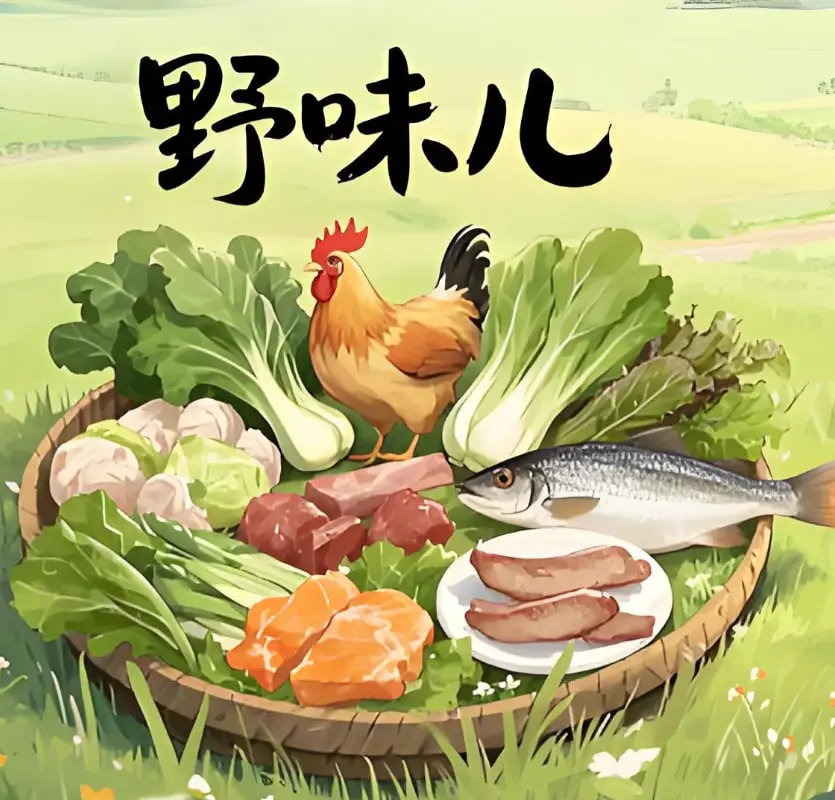 《野味儿》影评：欲望丛林中的人性挣扎，是生存游戏还是爱情陷阱？